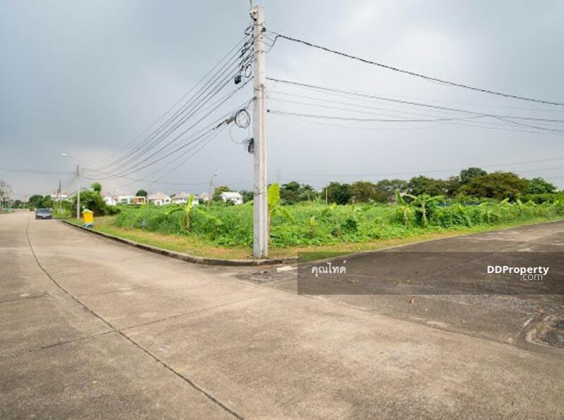 ขายที่ดินเปล่า โครงปัญจทรัพย์ พาร์ค ปิ่นเกล้า 160 ตรว. 