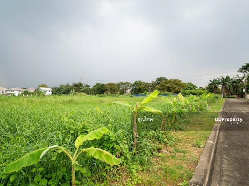 ขายที่ดินเปล่า โครงปัญจทรัพย์ พาร์ค ปิ่นเกล้า 160 ตรว. 