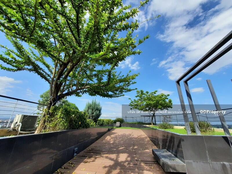The Astra, Chiang Mai, 107 Changklan Rd, Chang Klan, Muang Chiang Mai, Chiang Mai, 1 Bedroom, 46 sqm, Condo For Rent, by Koi Yanawee, 9618592 - DDproperty.com