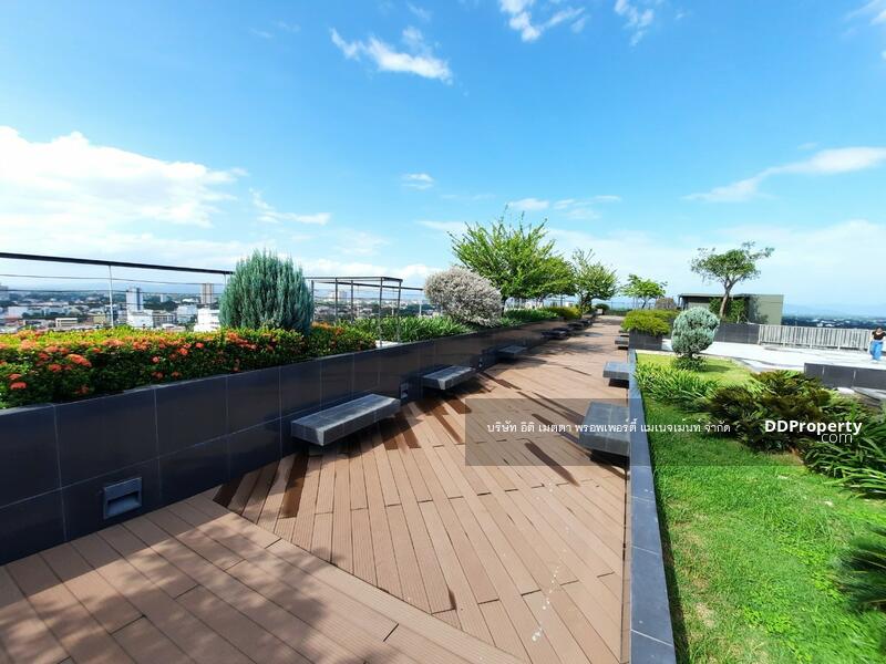 The Astra, Chiang Mai, 107 Changklan Rd, Chang Klan, Muang Chiang Mai, Chiang Mai, 1 Bedroom, 46 sqm, Condo For Rent, by Koi Yanawee, 9618592 - DDproperty.com