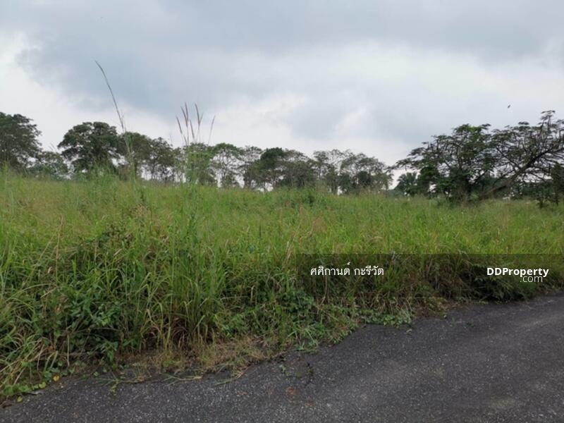 ขาย - ที่ดินเปล่า, ชลบุรี