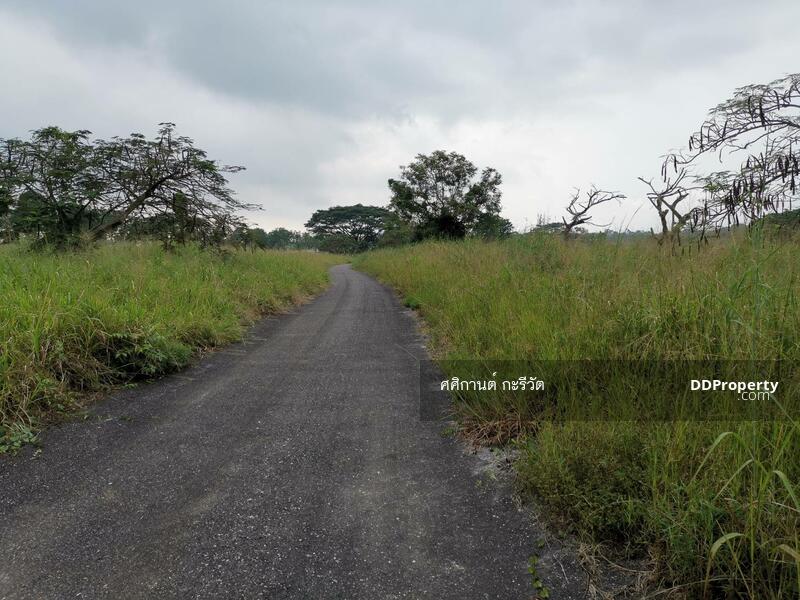 ขาย - ที่ดินเปล่า, ชลบุรี