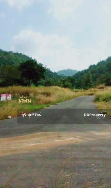 ที่ดินเปล่า ภูภัทรา โครงการ 3, Nakhon Ratchasima, Phyayen, Pak Chong, Nakhon Ratchasima, , 1,160 sqm, Land For Sale, by รุจี สุทธิรัตน์, 9629028 - วิวด้านหลังเห็นเขาใกล้ๆ - DDproperty.com