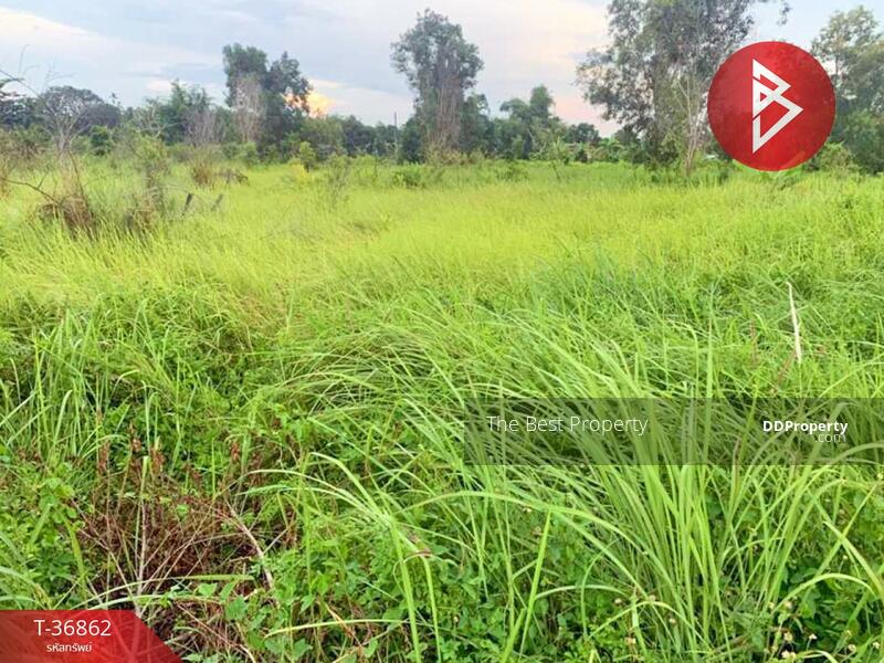 ขาย - ที่ดินองครักษ์ นครนายก, นครนายก