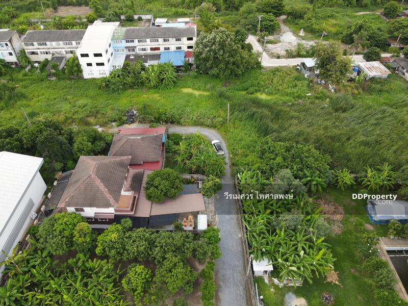 ขายถูก! ที่ดินบางใหญ่ ซอยวัดลาดปลาดุก—ใกล้เทศบาลเมืองบางรักพัฒนา เนื้อที่ 128 ตร.ว. 