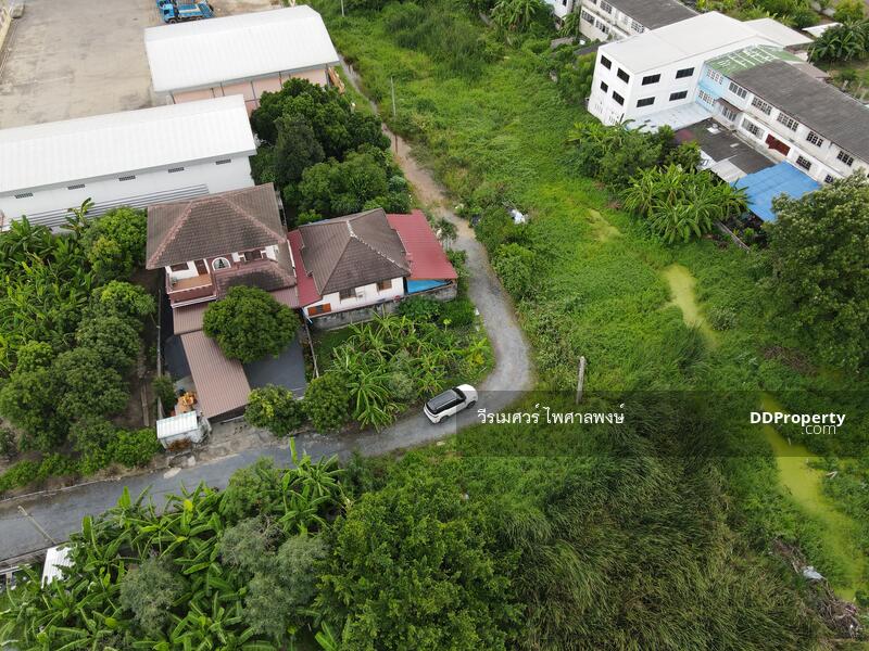 ขายถูก! ที่ดินบางใหญ่ ซอยวัดลาดปลาดุก—ใกล้เทศบาลเมืองบางรักพัฒนา เนื้อที่ 128 ตร.ว. 