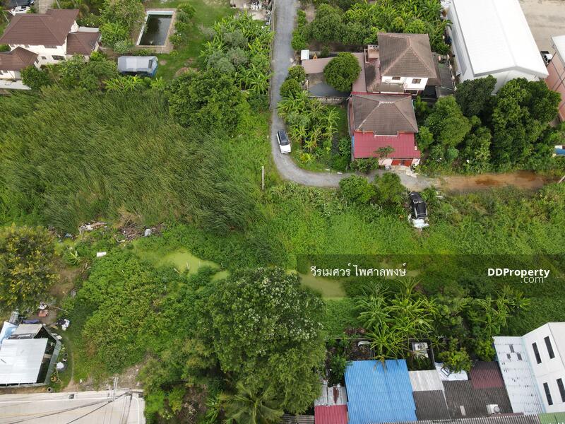 ขายถูก! ที่ดินบางใหญ่ ซอยวัดลาดปลาดุก—ใกล้เทศบาลเมืองบางรักพัฒนา เนื้อที่ 128 ตร.ว. 