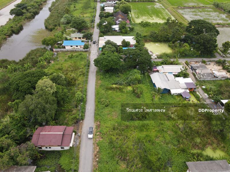 ขายที่ดิน คลองสามวา กรุงเทพมหานคร (เหมาะสร้างบ้าน + สำนักงาน + Townhome) เนื้อที่ 100 ตร.ว. 