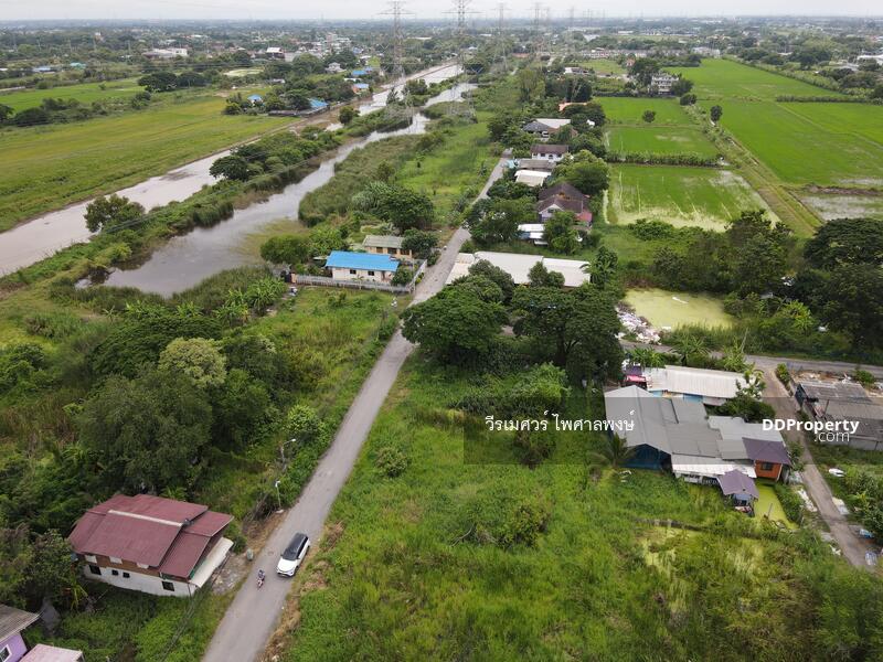 ขายที่ดิน คลองสามวา กรุงเทพมหานคร (เหมาะสร้างบ้าน + สำนักงาน + Townhome) เนื้อที่ 100 ตร.ว. 