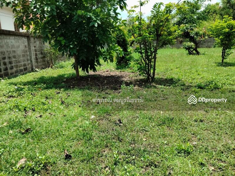 รูปถ่ายปัจจุบันเมื่อ 21 สิงหาคม 2568