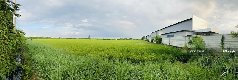 For Sale - ขายที่ดิน 70 ไร่ อำเภอบางเลน ตำบล นางพญา จังหวัด นครปฐม, Nakhon Pathom