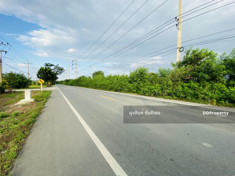 For Sale - ขายที่ดิน 70 ไร่ อำเภอบางเลน ตำบล นางพญา จังหวัด นครปฐม, Nakhon Pathom