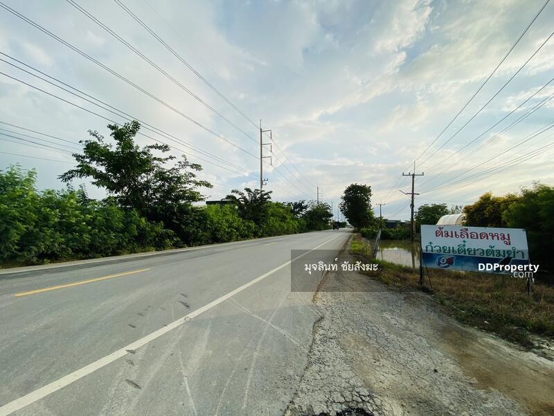 For Sale - ขายที่ดิน 70 ไร่ อำเภอบางเลน ตำบล นางพญา จังหวัด นครปฐม, Nakhon Pathom