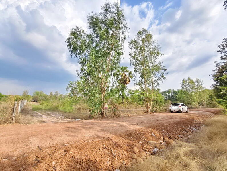 For Sale - ไร่สวนบ้านสนามชัย อำเภอพิบูลมังสาหาร อุบลราชธานี, Ubon Ratchathani