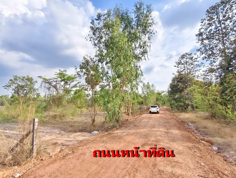 ขาย - ไร่สวนบ้านสนามชัย อำเภอพิบูลมังสาหาร อุบลราชธานี, อุบลราชธานี