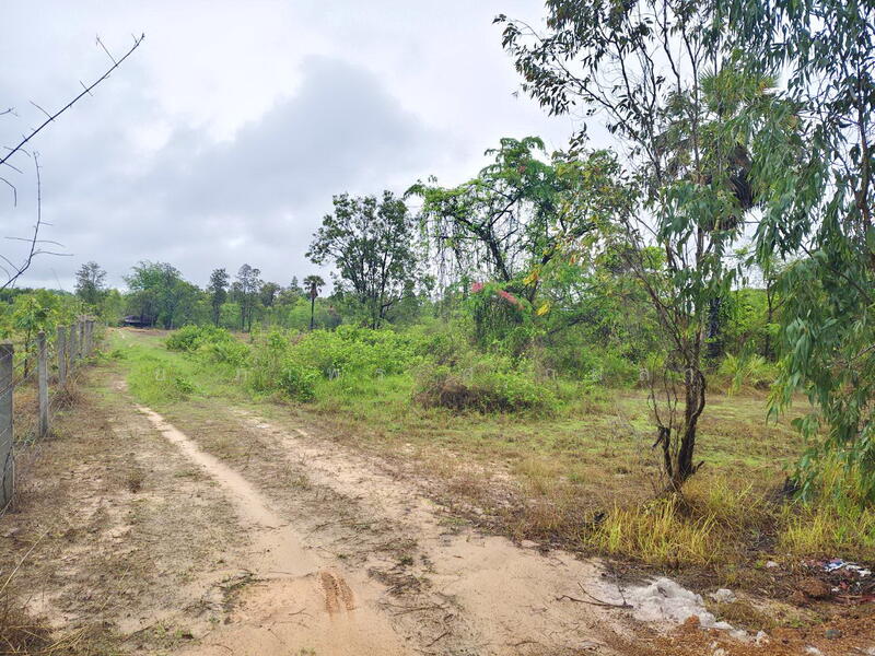 For Sale - ไร่สวนบ้านสนามชัย อำเภอพิบูลมังสาหาร อุบลราชธานี, Ubon Ratchathani
