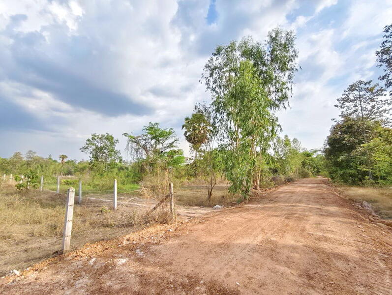 ขาย - ไร่สวนบ้านสนามชัย อำเภอพิบูลมังสาหาร อุบลราชธานี, อุบลราชธานี