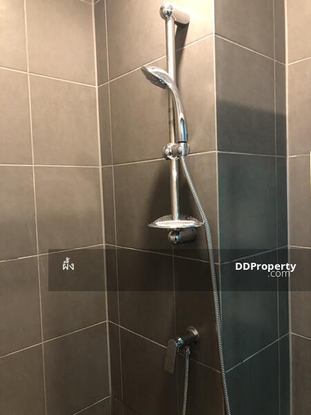 Elio Del Moss Phaholyothin 34, Bangkok, Soi Phahonyothin 34 Yaek 1, Sena Nikhom, Chatuchak, Bangkok, Studio, 25 sqm, Condo For Rent, by ภารวี สุมังคะละ, 9683106 - DDproperty.com