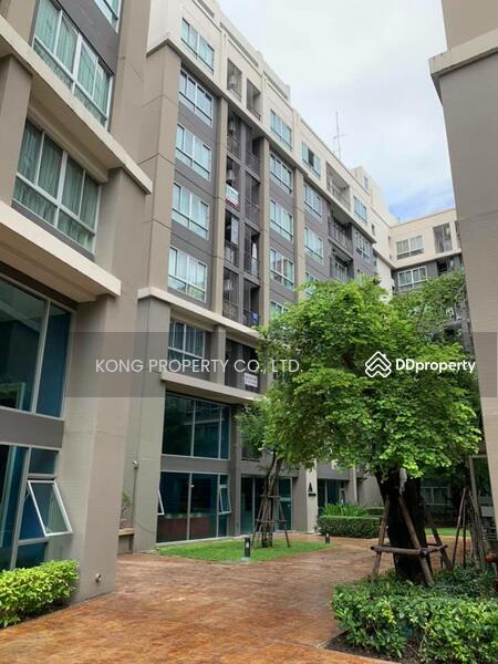 Dcondo Campus Resort Ratchapruek-Charan 13, Bangkok, Bang Waek Road, Bang Waek, Phasi Charoen, Bangkok, 1 Bedroom, 30 sqm, Condo For Rent, by Jakarin Houpramong, 9683877 - DDproperty.com