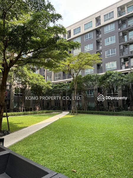 Dcondo Campus Resort Ratchapruek-Charan 13, Bangkok, Bang Waek Road, Bang Waek, Phasi Charoen, Bangkok, 1 Bedroom, 30 sqm, Condo For Rent, by Jakarin Houpramong, 9683877 - DDproperty.com