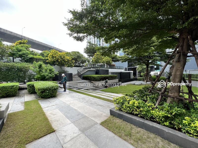 The Base Rama 9-Ramkhamhaeng, Bangkok, 3 Ramkhamhaeng Road, Hua Mak, Bang Kapi, Bangkok, 1 Bedroom, 29 sqm, Condo For Sale, by กนกวรรณ ด่านถาวรสุริยะ, 9686895 - DDproperty.com