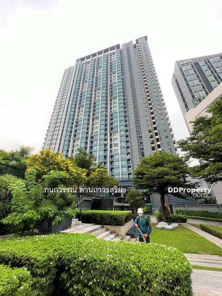 The Base Rama 9-Ramkhamhaeng, Bangkok, 3 Ramkhamhaeng Road, Hua Mak, Bang Kapi, Bangkok, 1 Bedroom, 29 sqm, Condo For Sale, by กนกวรรณ ด่านถาวรสุริยะ, 9686895 - DDproperty.com