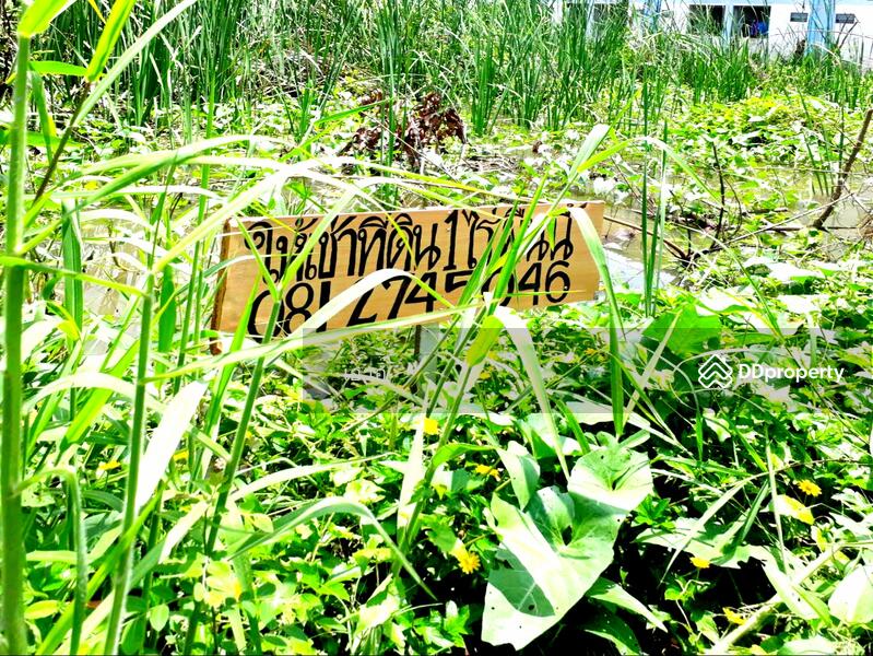ให้เช่า - 6PM6+92P Lam Sai, Wang Noi District, Phra Nakhon Si Ayutthaya, พระนครศรีอยุธยา