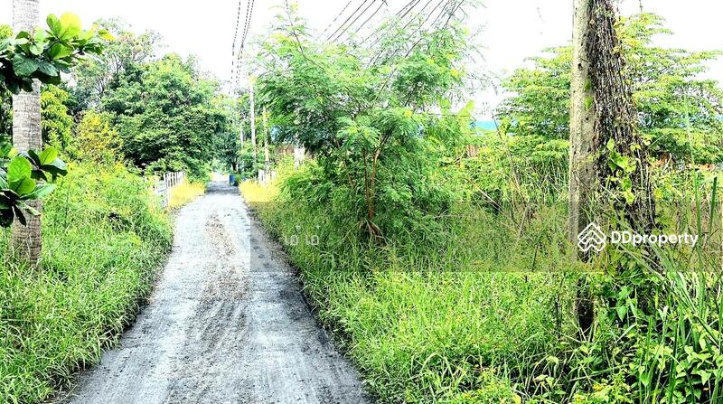 ให้เช่า - 6PM6+92P Lam Sai, Wang Noi District, Phra Nakhon Si Ayutthaya, พระนครศรีอยุธยา