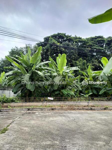 ขาย - ที่ดินเปล่า หมู่บ้านอุษาฟ้าฮ่าม, เชียงใหม่