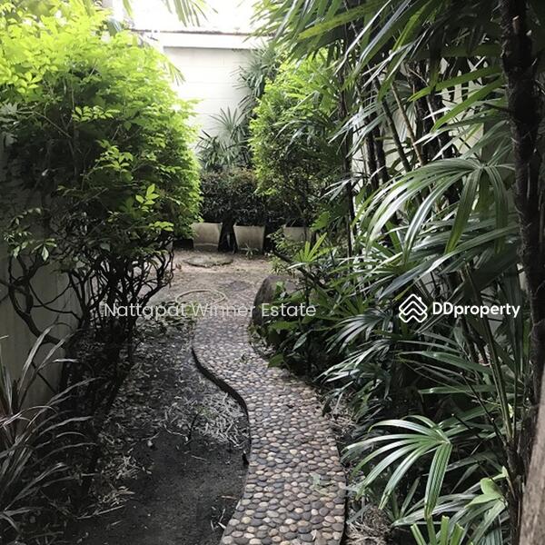 For rent Townhome Lumpini Place 40 sq.w. behind Central Rama 3, Bangkok, ซอยนราธิวาส 24 ซอยนราธิวาส 24, Chong Nonsi, Yan Nawa, Bangkok, 7 Bedrooms, 160 sqm, Townhouse For Rent, by ณัฐพัชร์ โชติอัครสินทบ, 9715819 - DDproperty.com