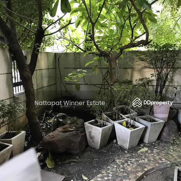 For rent Townhome Lumpini Place 40 sq.w. behind Central Rama 3, Bangkok, ซอยนราธิวาส 24 ซอยนราธิวาส 24, Chong Nonsi, Yan Nawa, Bangkok, 7 Bedrooms, 160 sqm, Townhouse For Rent, by ณัฐพัชร์ โชติอัครสินทบ, 9715819 - DDproperty.com