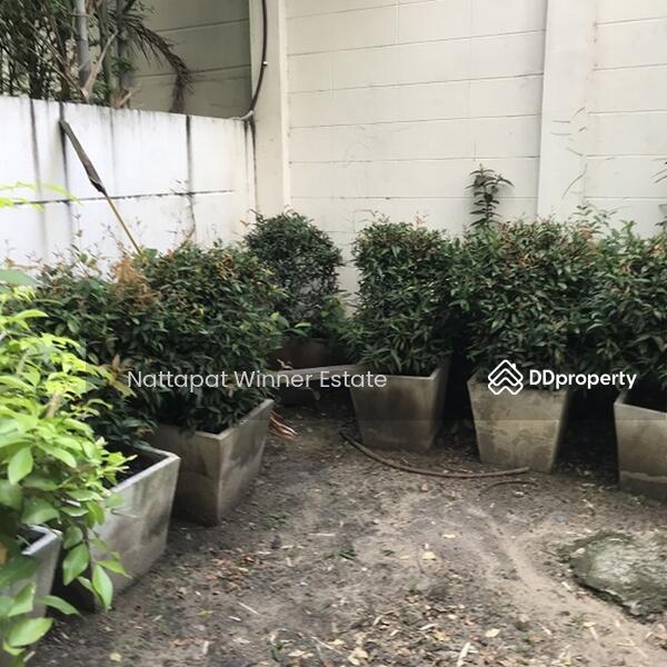 For rent Townhome Lumpini Place 40 sq.w. behind Central Rama 3, Bangkok, ซอยนราธิวาส 24 ซอยนราธิวาส 24, Chong Nonsi, Yan Nawa, Bangkok, 7 Bedrooms, 160 sqm, Townhouse For Rent, by ณัฐพัชร์ โชติอัครสินทบ, 9715819 - DDproperty.com