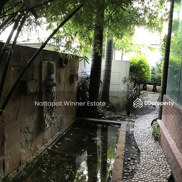 For rent Townhome Lumpini Place 40 sq.w. behind Central Rama 3, Bangkok, ซอยนราธิวาส 24 ซอยนราธิวาส 24, Chong Nonsi, Yan Nawa, Bangkok, 7 Bedrooms, 160 sqm, Townhouse For Rent, by ณัฐพัชร์ โชติอัครสินทบ, 9715819 - DDproperty.com