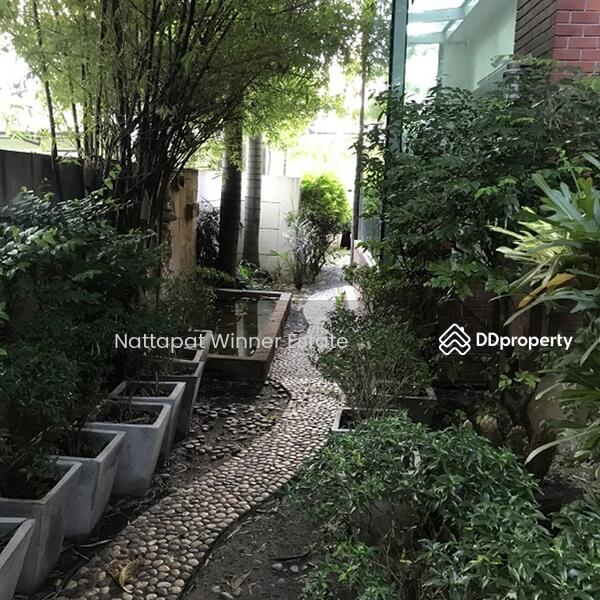For rent Townhome Lumpini Place 40 sq.w. behind Central Rama 3, กรุงเทพ, ซอยนราธิวาส 24 ซอยนราธิวาส 24, ช่องนนทรี, ยานนาวา, กรุงเทพ, 160 ตร.ม., ทาวน์เฮ้าส์ ให้เช่า, โดย ณัฐพัชร์ โชติอัครสินทบ, 9715819 - DDproperty.com