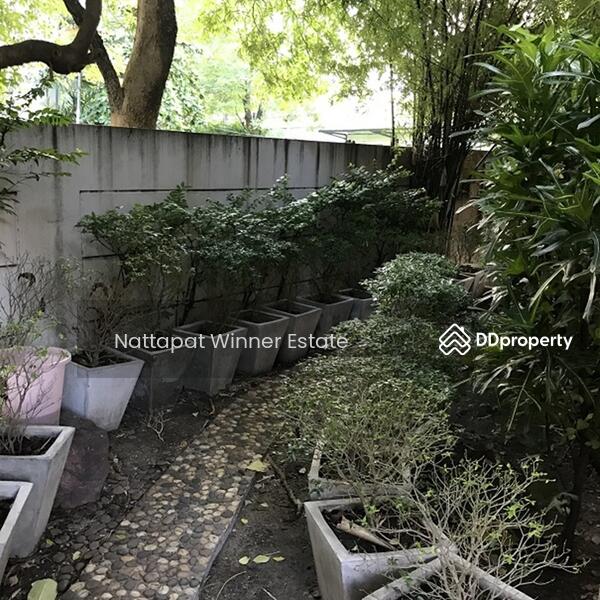 For rent Townhome Lumpini Place 40 sq.w. behind Central Rama 3, Bangkok, ซอยนราธิวาส 24 ซอยนราธิวาส 24, Chong Nonsi, Yan Nawa, Bangkok, 7 Bedrooms, 160 sqm, Townhouse For Rent, by ณัฐพัชร์ โชติอัครสินทบ, 9715819 - DDproperty.com
