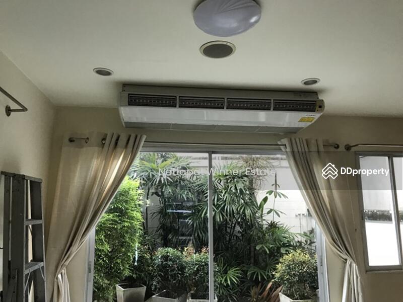For rent Townhome Lumpini Place 40 sq.w. behind Central Rama 3, Bangkok, ซอยนราธิวาส 24 ซอยนราธิวาส 24, Chong Nonsi, Yan Nawa, Bangkok, 7 Bedrooms, 160 sqm, Townhouse For Rent, by ณัฐพัชร์ โชติอัครสินทบ, 9715819 - DDproperty.com