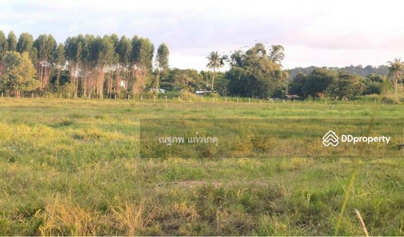 I-Zen Ekamai-Ramindra, bangkok, Soi Nakniwas 45, Lat Phrao, Bangkok, , 16,112 sqm, Land For Sale, by ภคภพ แก้วเกตุ, 9720731 - DDproperty.com