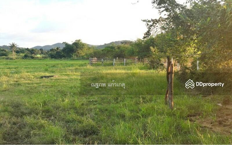 I-Zen Ekamai-Ramindra, bangkok, Soi Nakniwas 45, Lat Phrao, Bangkok, , 16,112 sqm, Land For Sale, by ภคภพ แก้วเกตุ, 9720731 - DDproperty.com