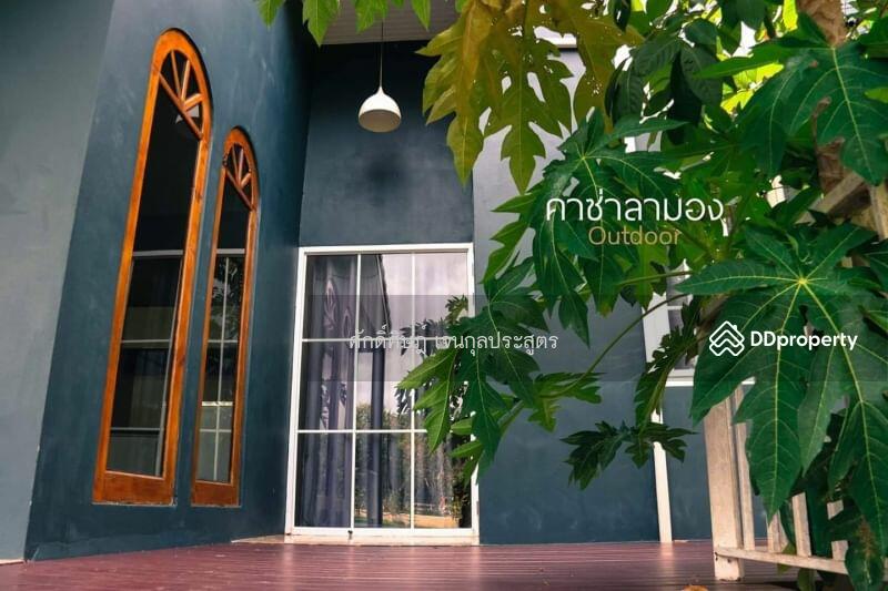 ขาย ให้เช่า บ้านเดี่ยวคาลาซ่ามอง บ้านพักหลังใหญ่ ปากช่อง โป่งตาลอง, นครราชสีมา, 19/2 -, โป่งตาลอง, ปากช่อง, นครราชสีมา, 100 ตร.ม., บ้านเดี่ยว ขาย, โดย ศักดิ์ศิษฎ์ เจนกุลประสูตร, 9721426 - DDproperty.com