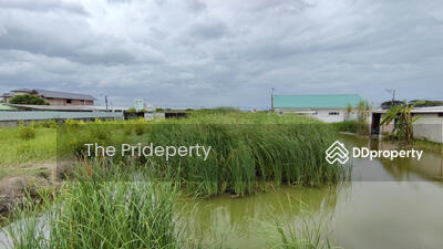 ขาย - ที่ดิน 180 ตรว พัฒนาการ 96, กรุงเทพ