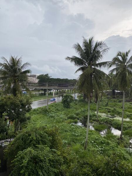 ขาย - Dcondo Coco Suratthani : ดีคอนโด โคโค่ สุราษฏร์ธานี, สุราษฎร์ธานี
