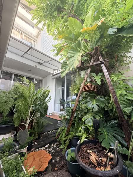 บ้านเดี่ยว, กรุงเทพ, 11 วิภาวดีรังสิต, สนามบิน, ดอนเมือง, กรุงเทพ, 300 ตร.ม., บ้านเดี่ยว ขาย, โดย รัชกฤช ภูธนวัชรกุล, 9741971 - DDproperty.com