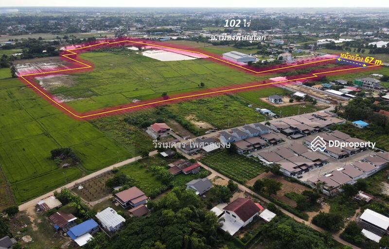 ขายที่ดิน อำเภอเมืองพิษณุโลก 102 ไร่ (สำหรับทำโครงการ จัดสรร) หน้ากว้าง 67 เมตร 