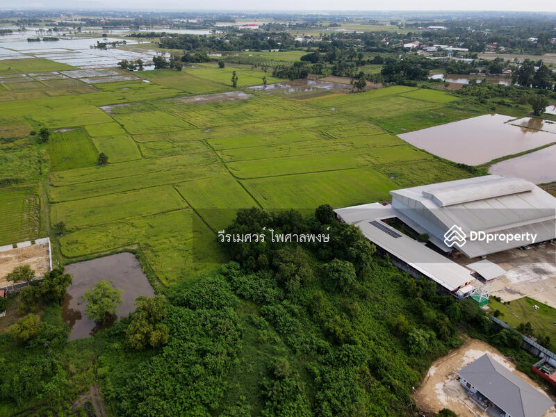 ขายที่ดิน อำเภอเมืองพิษณุโลก 102 ไร่ (สำหรับทำโครงการ จัดสรร) หน้ากว้าง 67 เมตร 