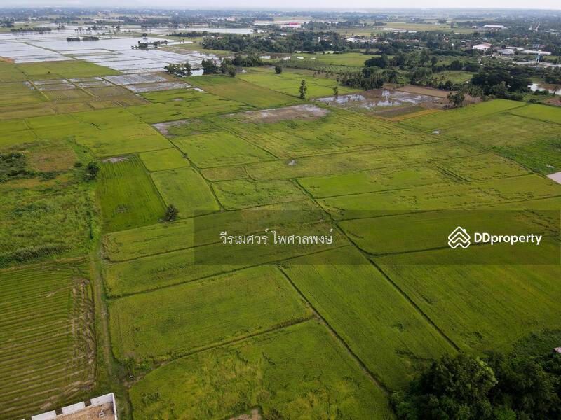 ขายที่ดิน อำเภอเมืองพิษณุโลก 102 ไร่ (สำหรับทำโครงการ จัดสรร) หน้ากว้าง 67 เมตร 