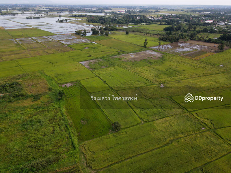 ขายที่ดิน อำเภอเมืองพิษณุโลก 102 ไร่ (สำหรับทำโครงการ จัดสรร) หน้ากว้าง 67 เมตร 