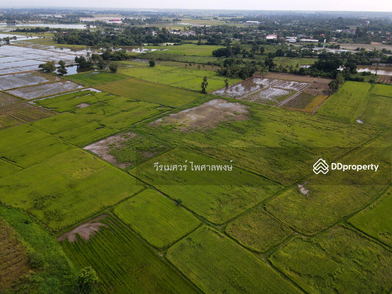 ขายที่ดิน อำเภอเมืองพิษณุโลก 102 ไร่ (สำหรับทำโครงการ จัดสรร) หน้ากว้าง 67 เมตร 