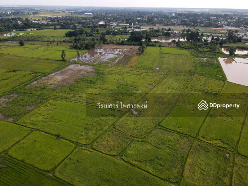 ขายที่ดิน อำเภอเมืองพิษณุโลก 102 ไร่ (สำหรับทำโครงการ จัดสรร) หน้ากว้าง 67 เมตร 