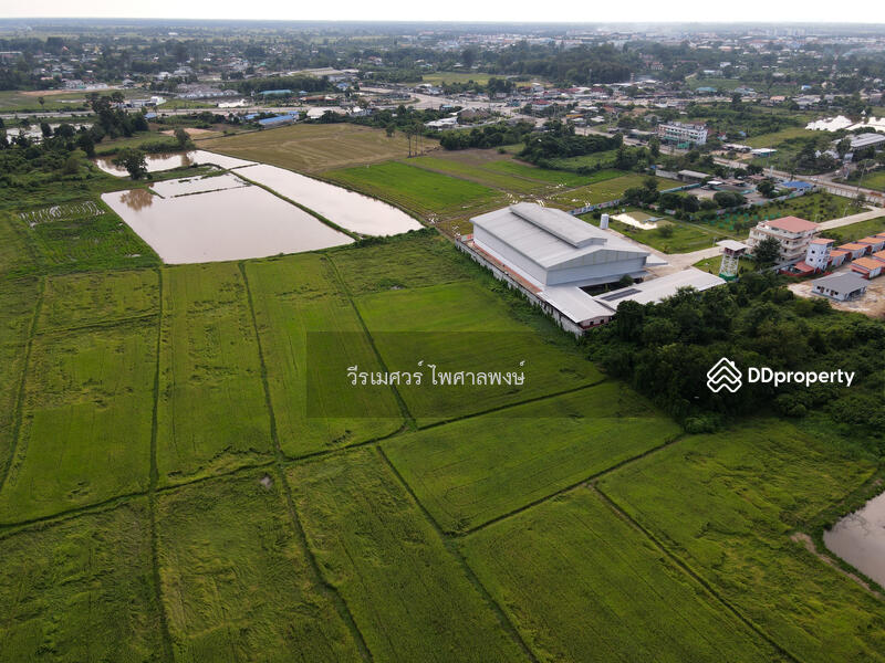 ขายที่ดิน อำเภอเมืองพิษณุโลก 102 ไร่ (สำหรับทำโครงการ จัดสรร) หน้ากว้าง 67 เมตร 