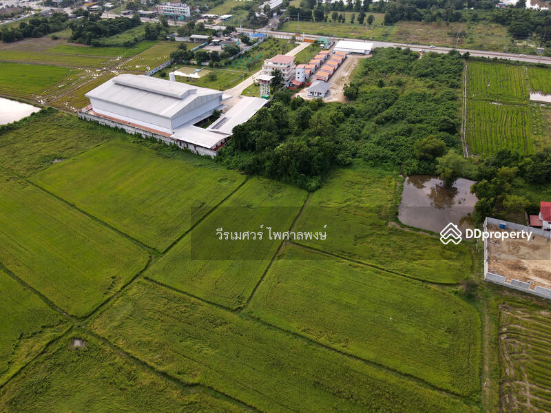ขายที่ดิน อำเภอเมืองพิษณุโลก 102 ไร่ (สำหรับทำโครงการ จัดสรร) หน้ากว้าง 67 เมตร 